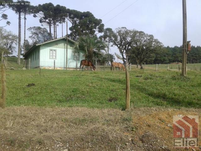 Fazenda Produtiva, Topografia Mecanizada, Propriedade Lindíssima - Foto 20