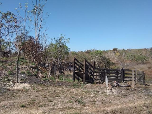 Chácara km 22 estrada da guia - Foto 12