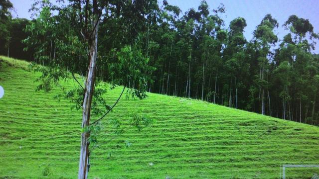 Aceita troca em Bombinhas/SC, sítio com 105.000 m² à venda em Botuverá /SC - Foto 9