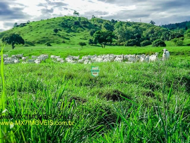 Itaju do Colônia. Linda Fazenda pecuária de 375 Hectares - Foto 7