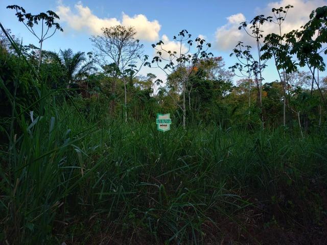 Itajuípe. Fazenda Zona Rural - Foto 17