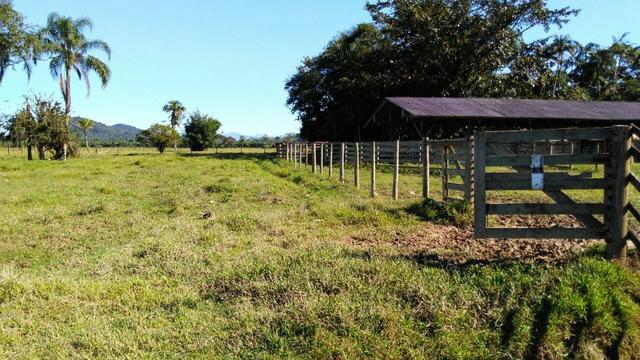 Fazenda Plana toda Aproveitável, Valor muito Atrativo do que Pedem Na Região - Foto 9