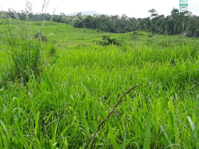 Itaju do Colônia. Fazenda de 400 Hectares. para pecuária. - Foto 6