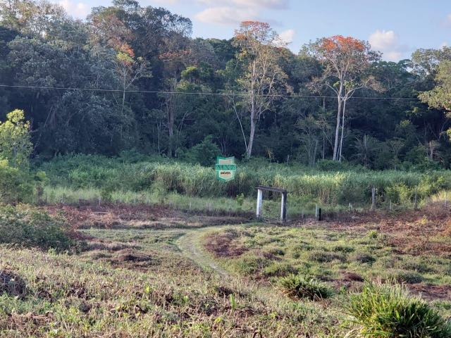 Itajuípe. Fazenda Zona Rural - Foto 5