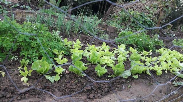 Chácara área rural porteira fechada - Foto 5