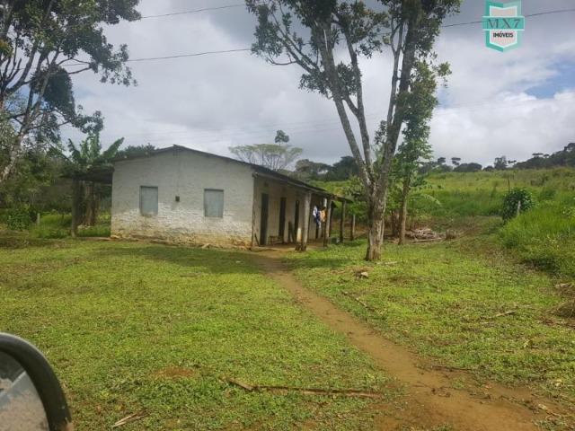 Igrapiúna. Fazenda com 845 Hectares e cachoeira, cacau, pupunha e seringa. - Foto 5