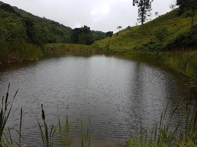 193B/Ótima fazenda de 70 ha bem localizada com ótima altitude e topografia - Foto 13