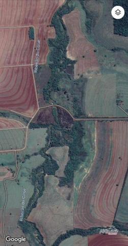 Chácara 56.000 m² - Foto 5