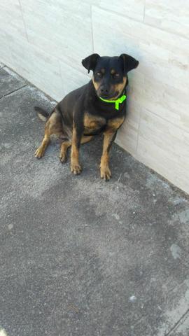 LINDO MACHINHO APROX 2anos