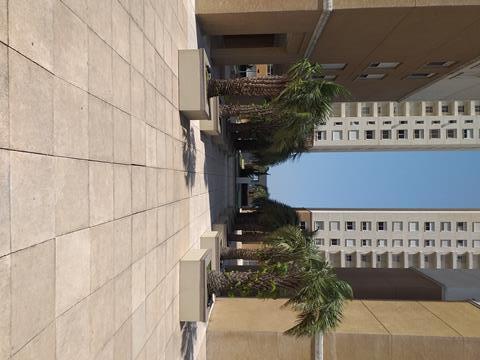 Apartamento para alugar com 3 dormitórios em , cod:I-023031 - Foto 7