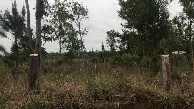 Terreno no Parque Eldorado - Foto 12