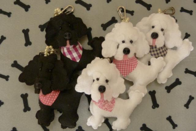 Poodle