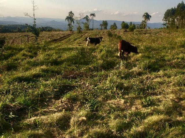 Vendo Lindíssima Chácara Escriturada com uma Bela Vista, Parcelo Direto sem Juros!! - Foto 3