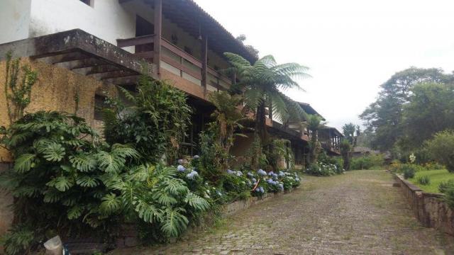 Sítio à venda em Córrego dantas, Nova friburgo cod:63897 - Foto 2
