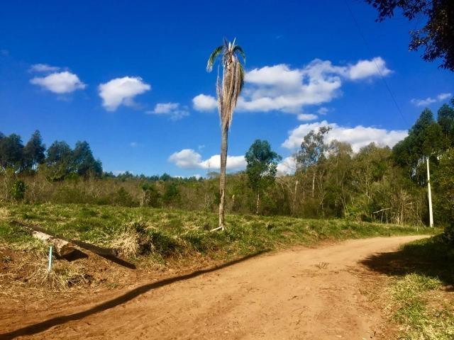 Vendo Lindíssima Chácara Escriturada com uma Bela Vista, Parcelo Direto sem Juros!! - Foto 4