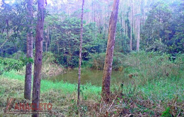 Belíssimo sítio pertinho do centro de Medeiros, com 27 Hm² - Foto 10