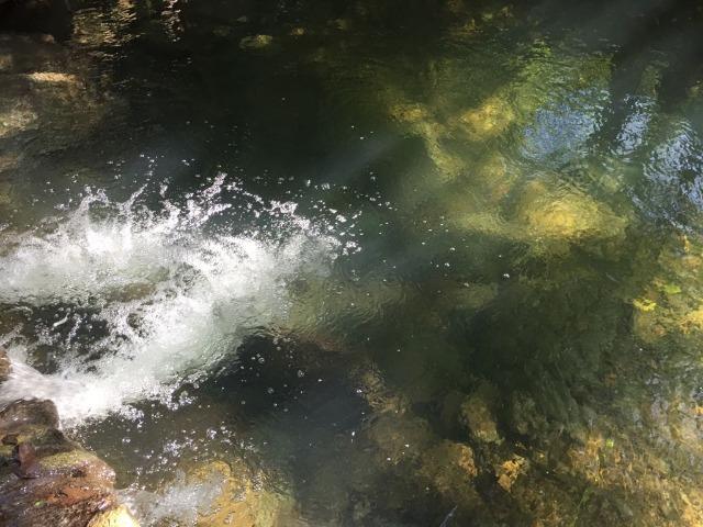 Linda chácara rica em água em Bodoquena - Foto 9