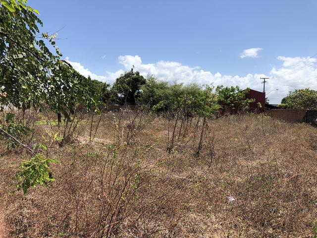 Terreno Parnaíba - Excelente oportunidade!!! - Foto 4
