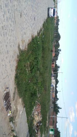 Vendo terreno na mata do rolo 7 por 20 o terceiro a contar da esquina - Foto 3