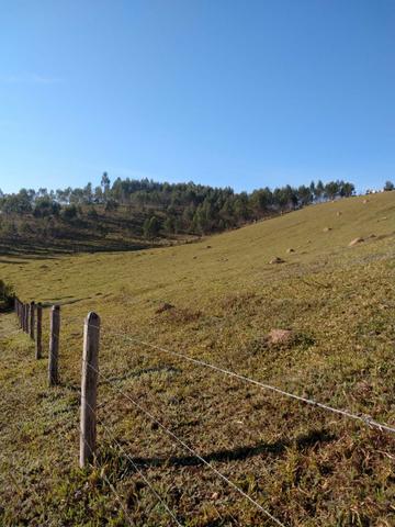Comece 2020 com seu terreno 1000M2 em igarata RR10