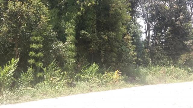 Bom terreno de 12.80 x 24 total 307,20 m2 em itapoá na área retro portuária, aproximadamen - Foto 4