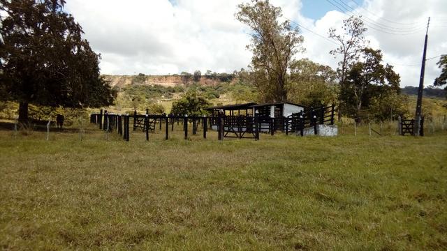 Fazenda 94,5 Ha. Pilar - Foto 6
