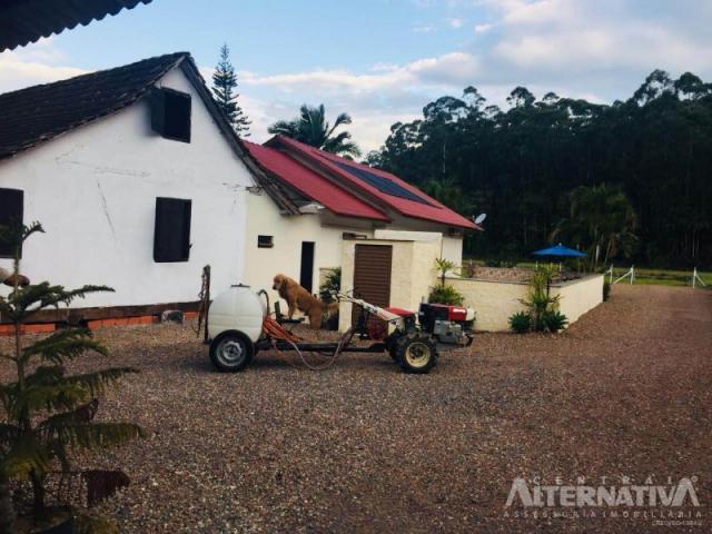 Excelente chácara em ascurra sc. a 03 km do centro - oportunidade. - Foto 20