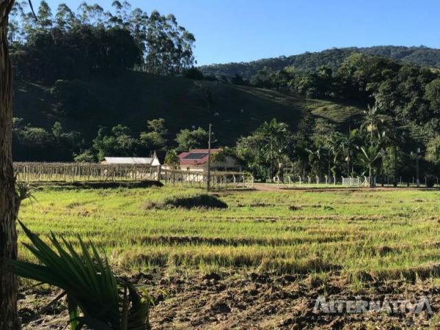 Excelente chácara em ascurra sc. a 03 km do centro - oportunidade. - Foto 4