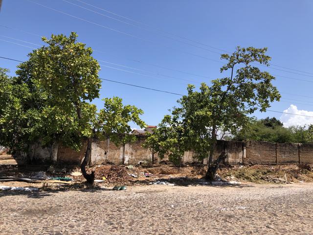Terreno Parnaíba - Excelente oportunidade!!! - Foto 7