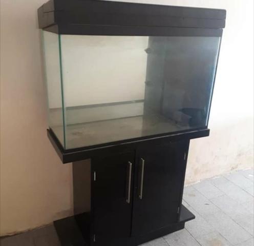 Aquario