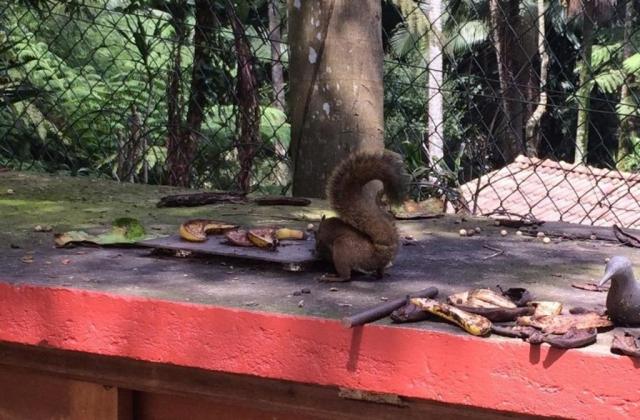 Chácara à venda em Condomínio iolanda, Taboão da serra cod:60343 - Foto 10