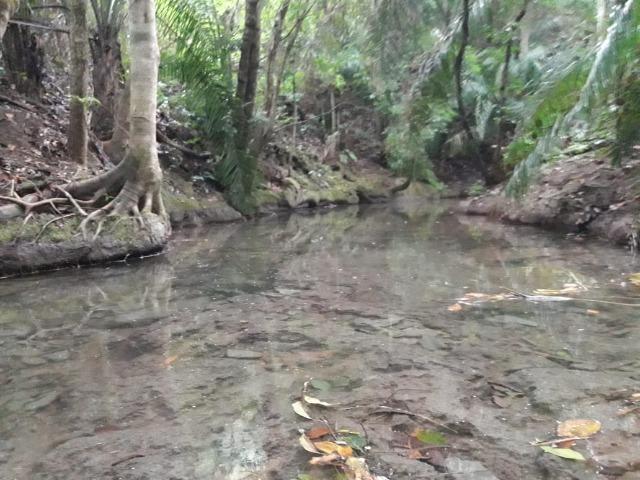 Linda chácara rica em água em Bodoquena - Foto 8