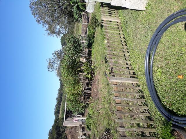 Chácara - Foto 15