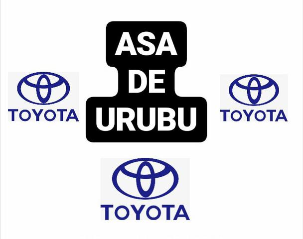 Papo e asa de urubu do corolla (£76)