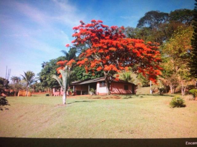 Sítio à venda em Centro, Batatais cod:4569 - Foto 7