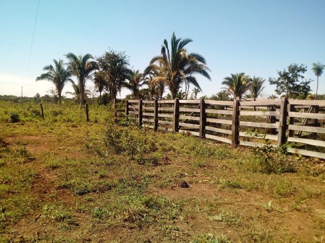 Chácara de 39 hectares em Acorizal ! - Foto 12