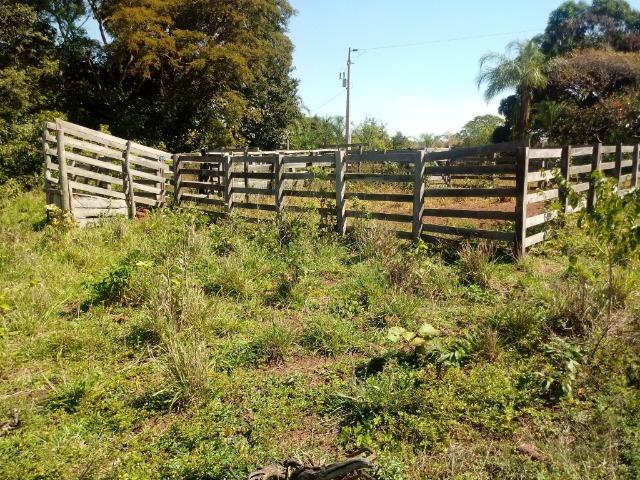 Chácara de 39 hectares em Acorizal ! - Foto 15