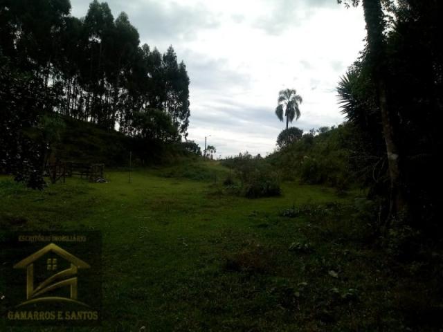 Aluga-se chácara com 18 alqueires com casa e estrutura para criação de gado - Foto 11