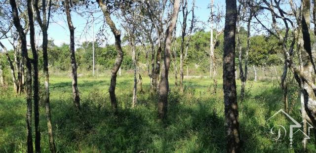 Chácara com 4.050 m², Passo das Tropas -Santa Maria - 10099 - Foto 16