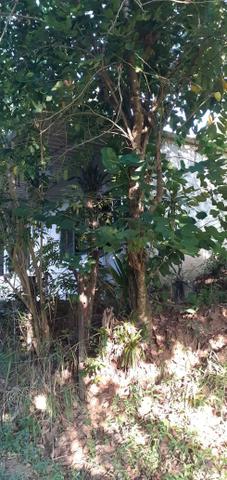 Vende-se lote de terra - Foto 2