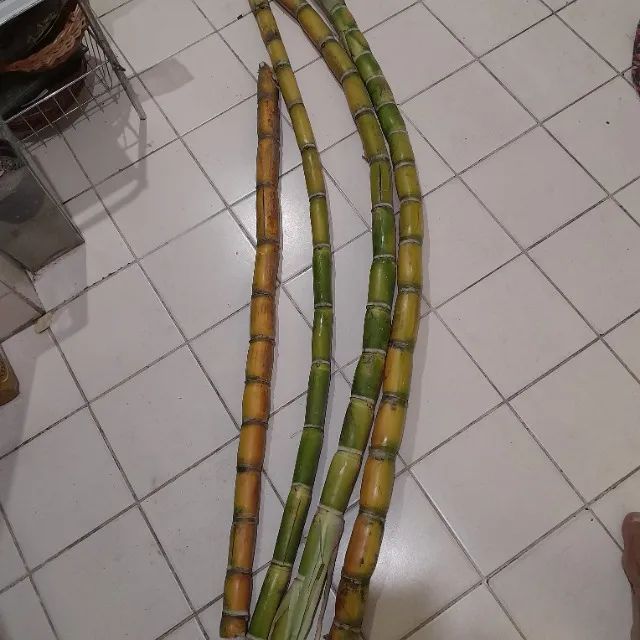 Casa com  Salão de Festas e piscina em Gravatá   - Foto 15