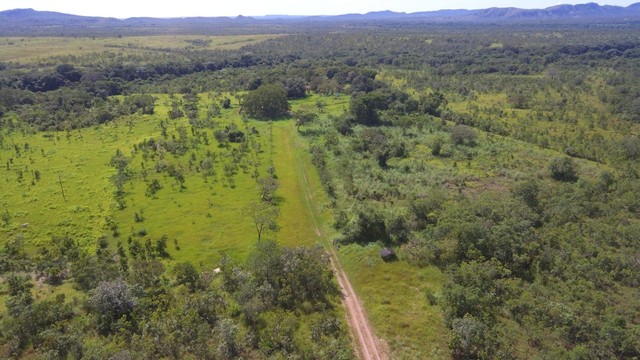 Fazenda em Almas. 28 mil por alqueire. - Foto 3