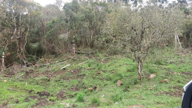 Sitio em Urubici /chacara em Urubici - Foto 10