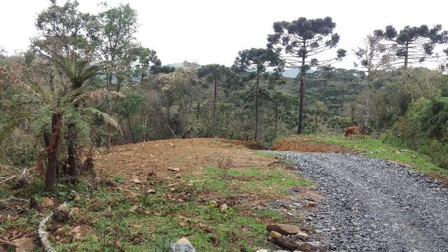 Sitio em Urubici /chacara em Urubici - Foto 6
