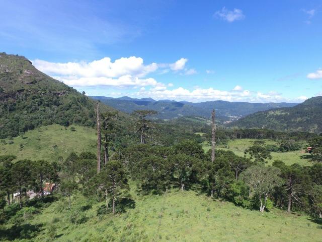 Sitio em Urubici /chácara em Urubici