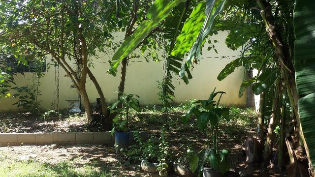 BORGES VENDE - Chácara Parque Residencial Gaivotas, Terreno com 700m² - Foto 17