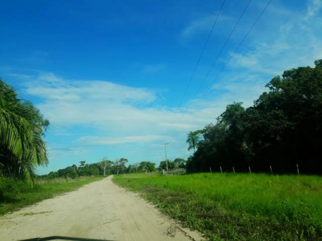 FAZENDA A VENDA EM CORUMBÁ - MS (Pecuária) - Foto 6