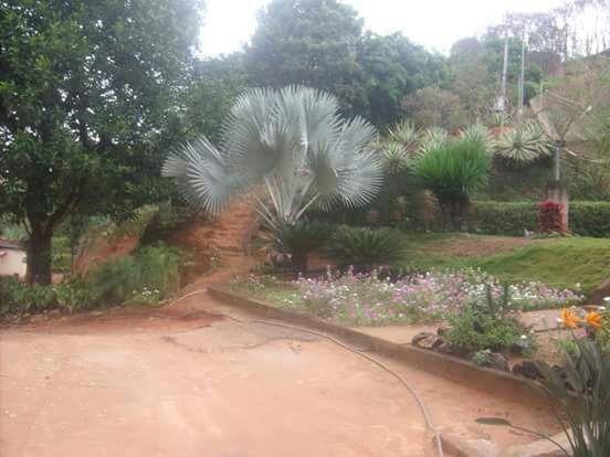 Sitio na Lajinha - Foto 9