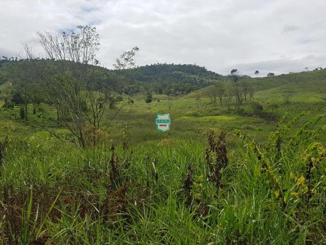 Ipiaú. Fazenda pecuária com 418 Hectares, completa infraestrutura - Foto 10