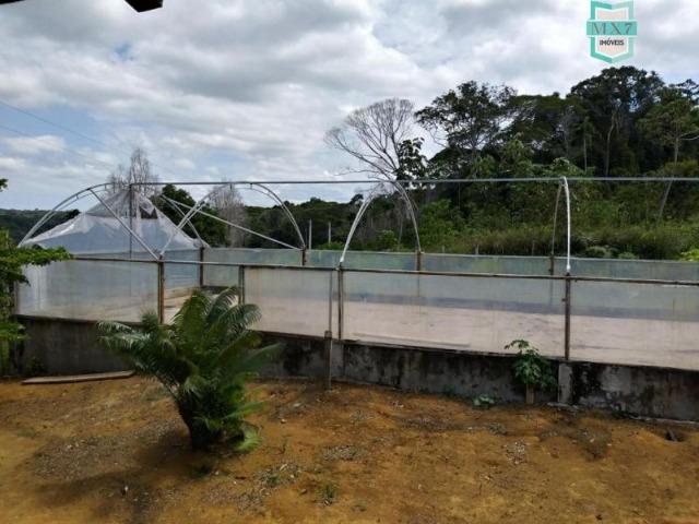 Maraú. Fazenda de 710 Hectares com diversas atividades de produção e rica em água - Foto 11